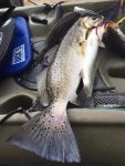 Food Fisherman Fish products Fish Fishing